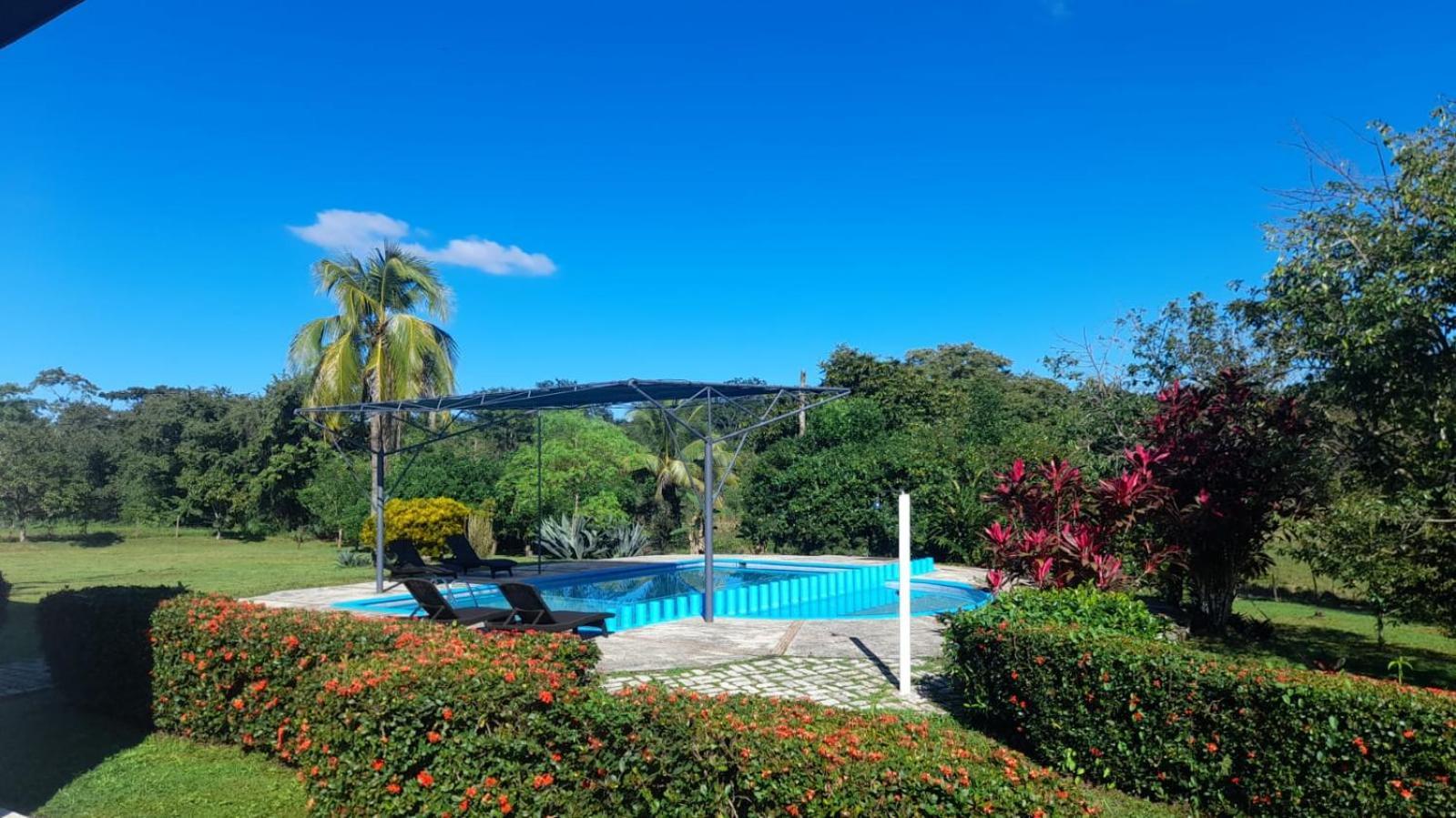 Hotel Los Leones Palenque Buitenkant foto