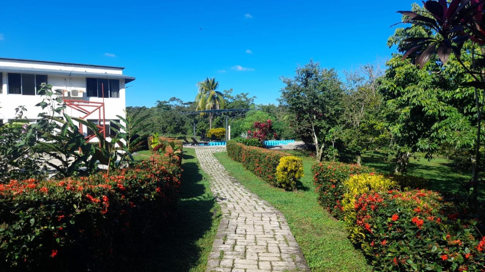 Hotel Los Leones Palenque Buitenkant foto